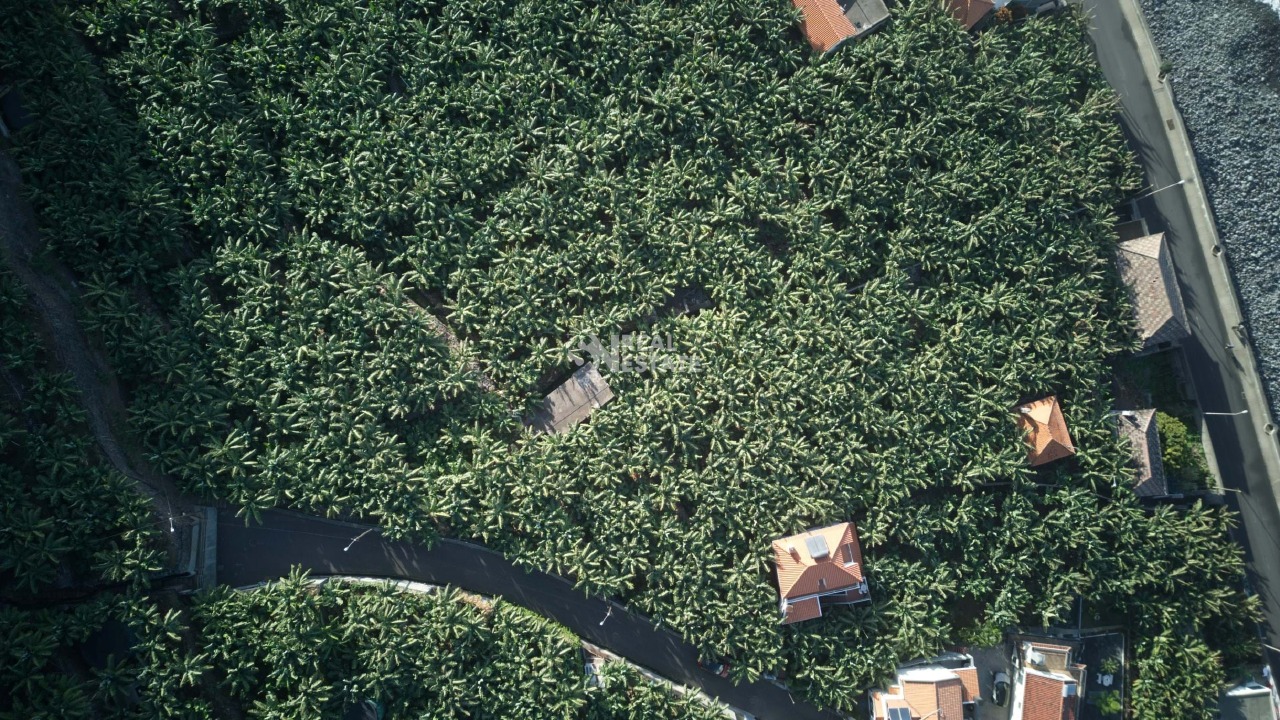 Plot / Land in Madalena do Mar, Ponta do Sol, Madeira