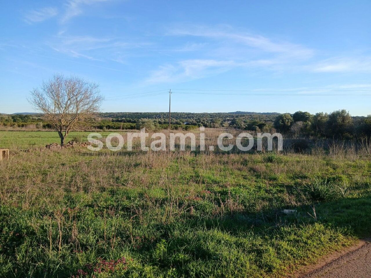 Plot / Land in Silves, Western Algarve