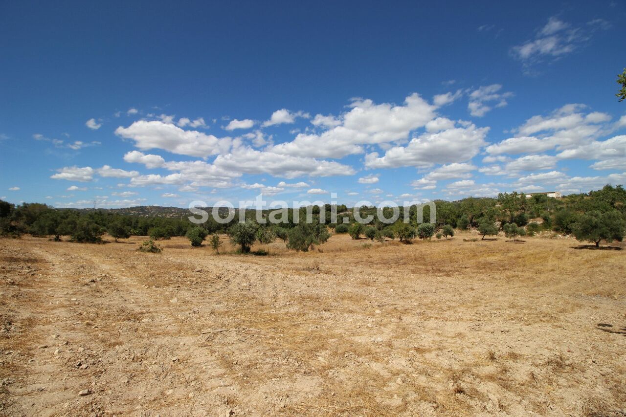 Perceel / Land in Faro, Central Algarve