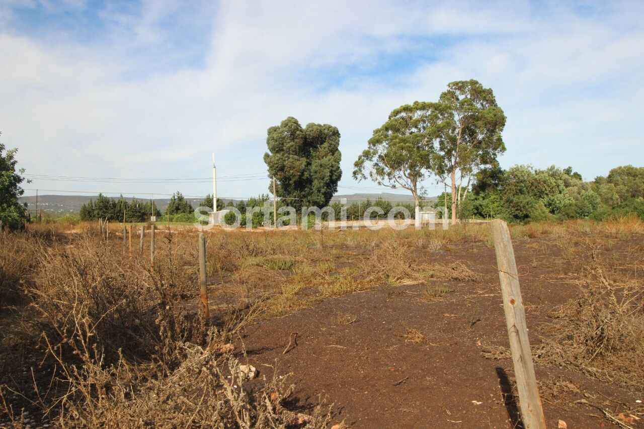 Perceel / Land in Albufeira, Central Algarve