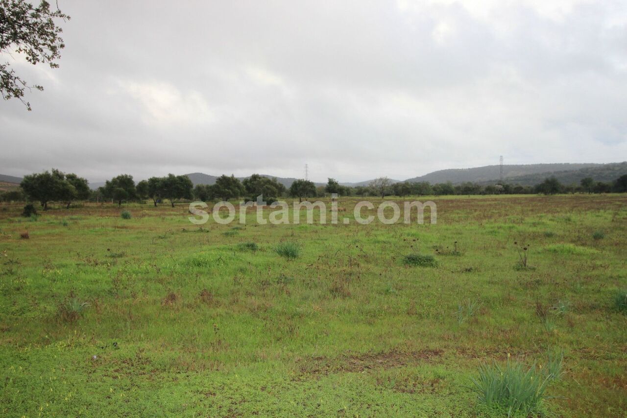 Perceel / Land in Albufeira, Central Algarve