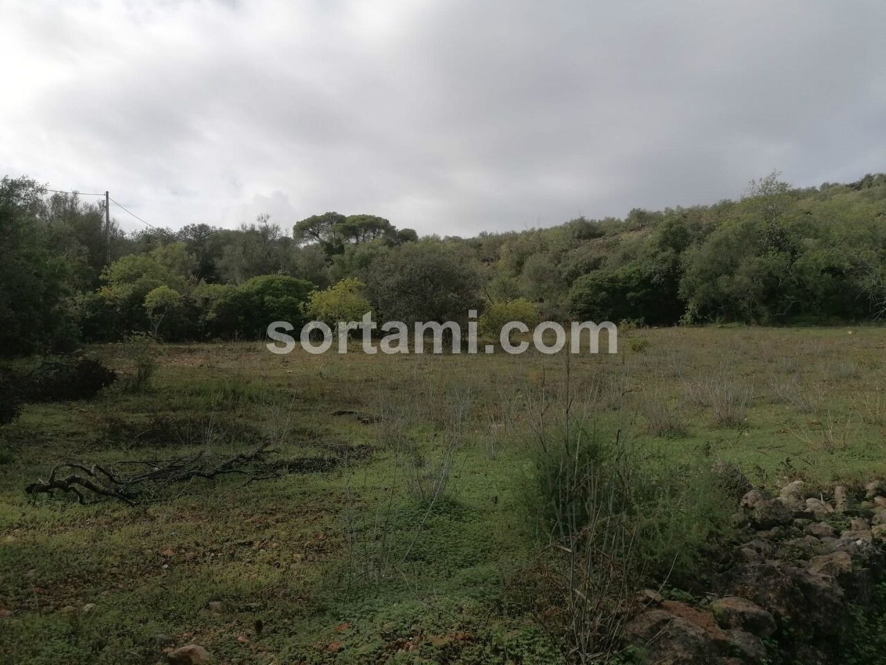 Plot / Land in Loulé, Central Algarve