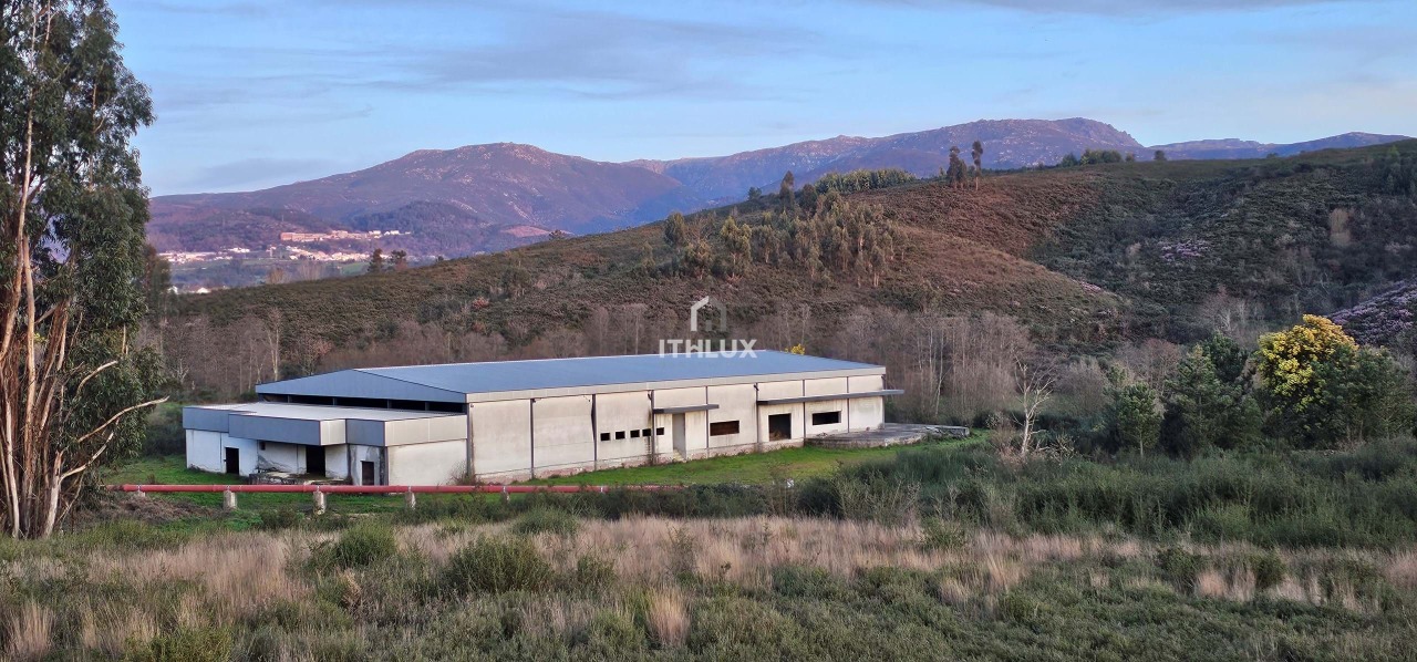 Commercieel / Zakelijk in Seia, Guarda