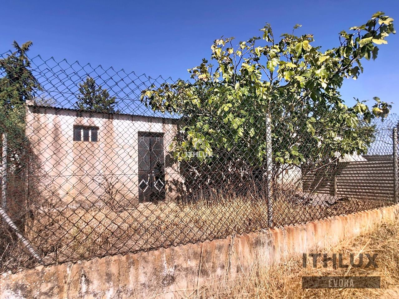 Perceel / Land in Cabrela, Montemor-o-Novo, Évora