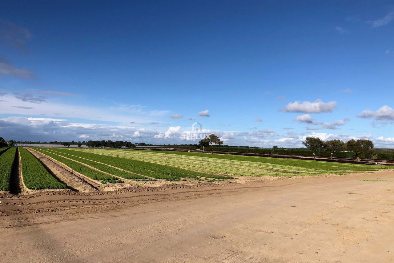 Perceel / Land in Santo André, Santiago do Cacém, Setúbal