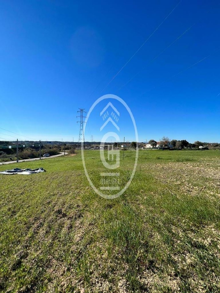 Plot / Land in Santarém