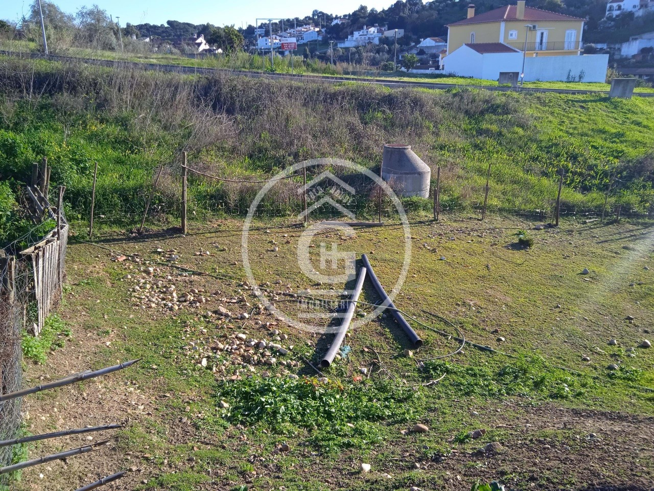 Plot / Land in Chamusca, Santarém
