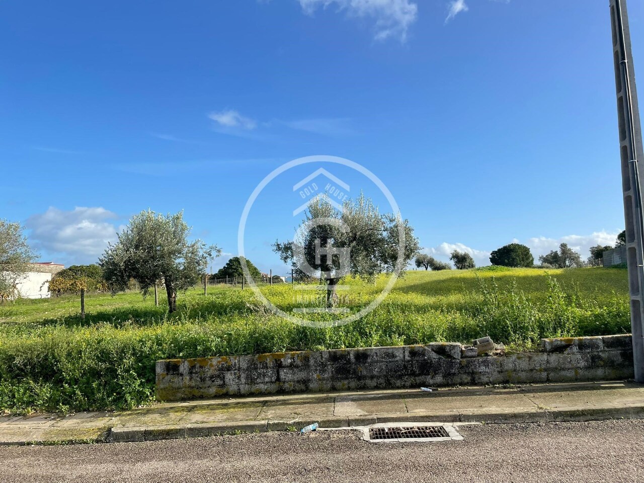 Plot / Land in Alpiarça, Santarém