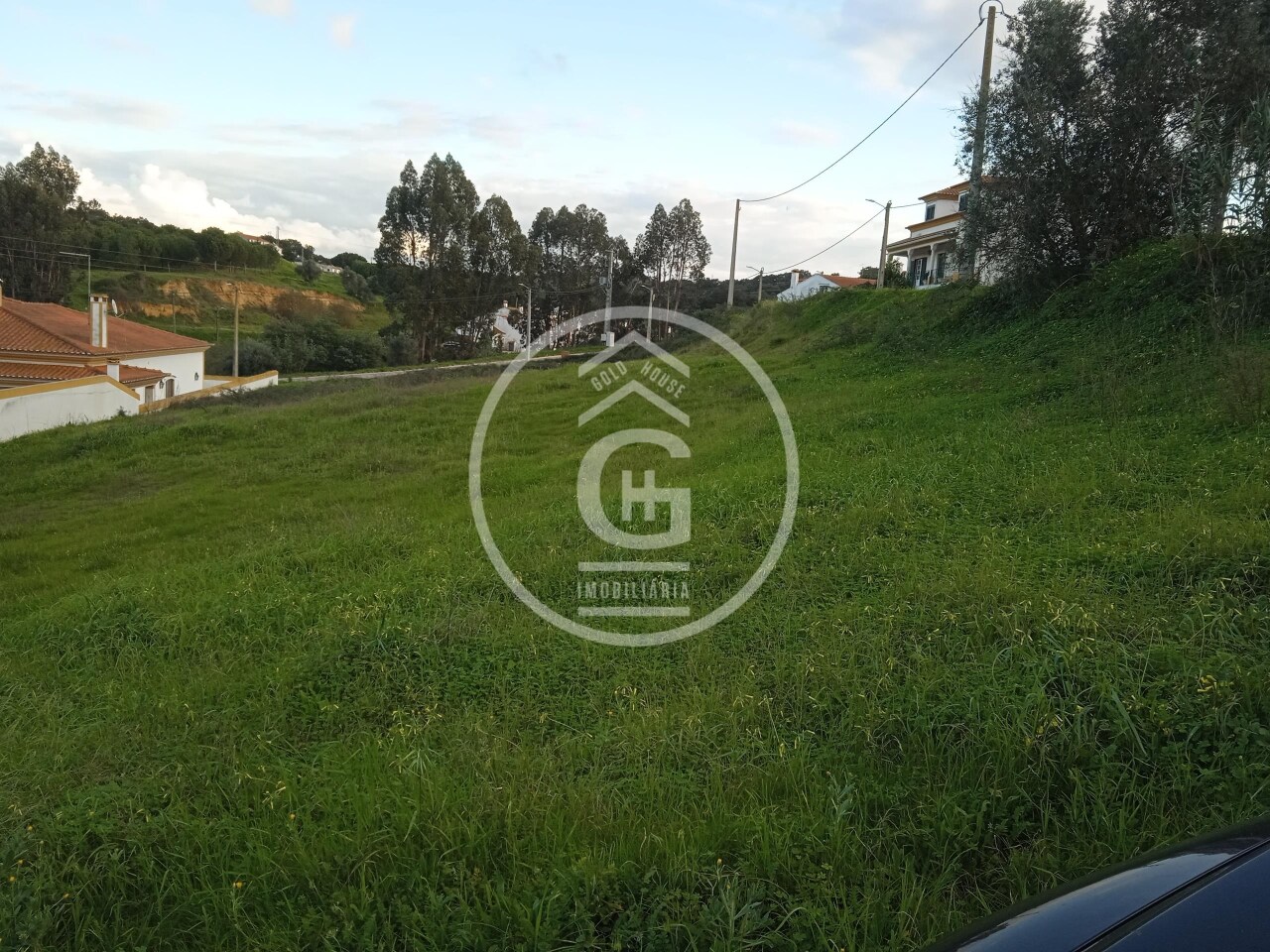 Plot / Land in Chamusca, Santarém