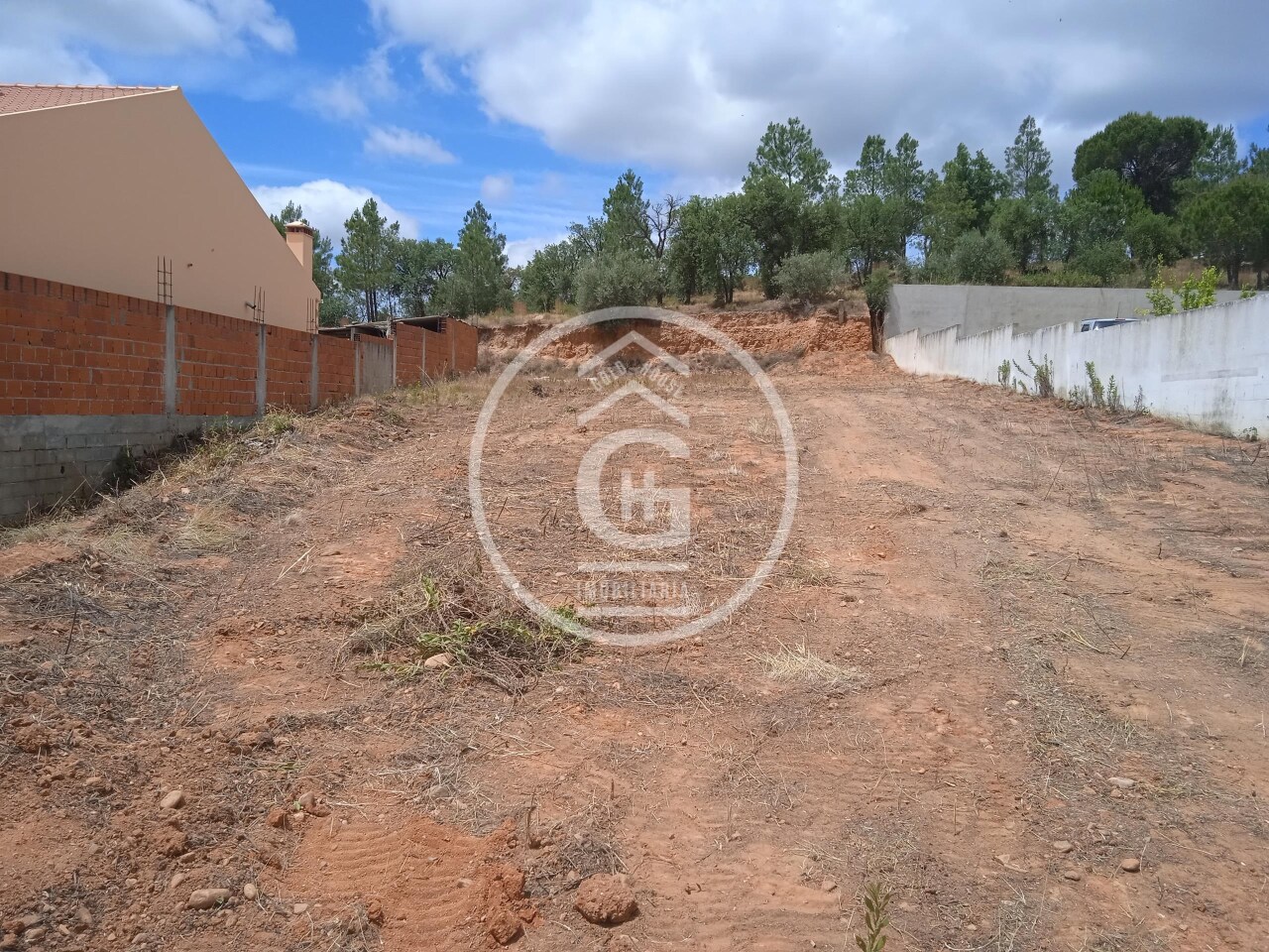 Plot / Land in Chamusca, Santarém