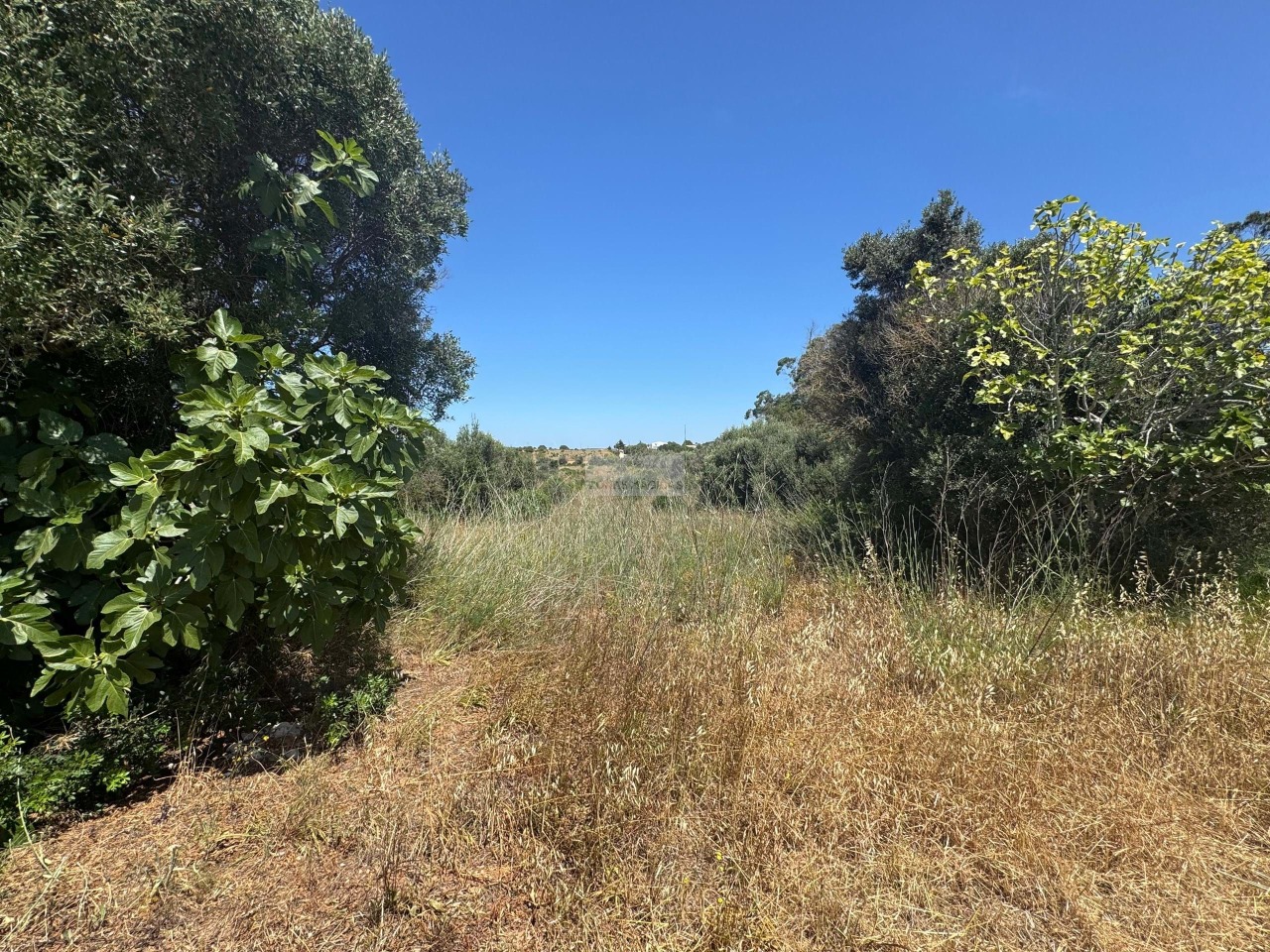 Perceel / Land in Luz, Lagos, Western Algarve