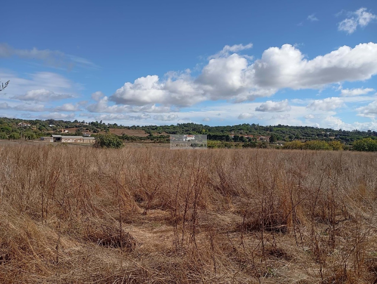 Plot / Land in Lagos, Western Algarve