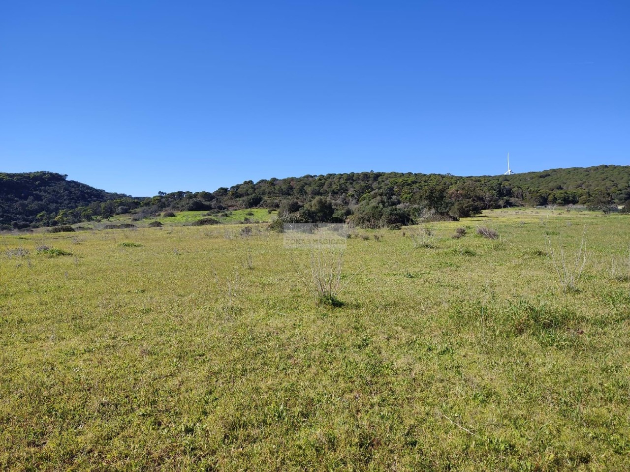 Perceel / Land in Barão de São João, Lagos, Western Algarve