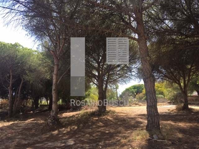 Perceel / Land in Almancil, Loulé, Central Algarve