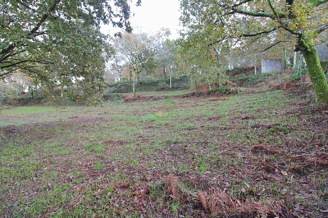 Plot / Land in Garfe, Póvoa de Lanhoso, Braga