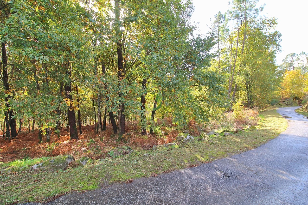 Plot / Land in Pico, Vila Verde, Braga