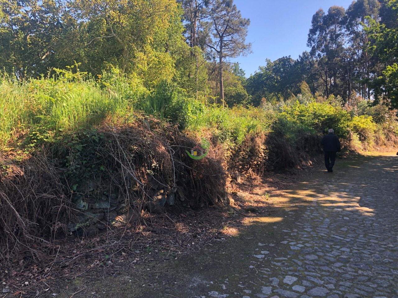 Perceel / Land in Seixas, Caminha, Viana do Castelo