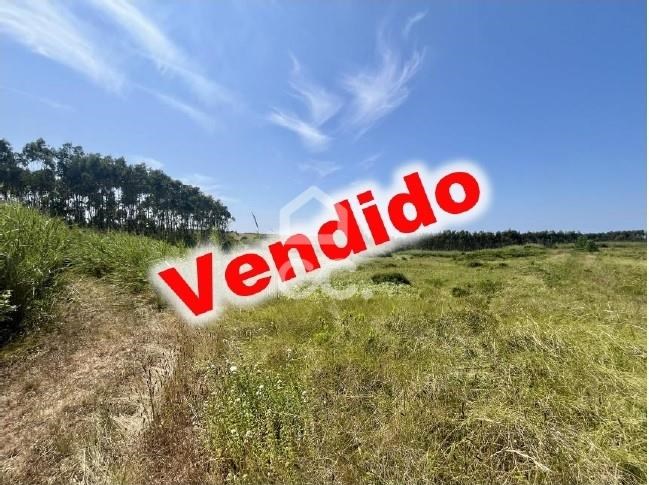 Plot / Land in Caldas da Rainha, Leiria