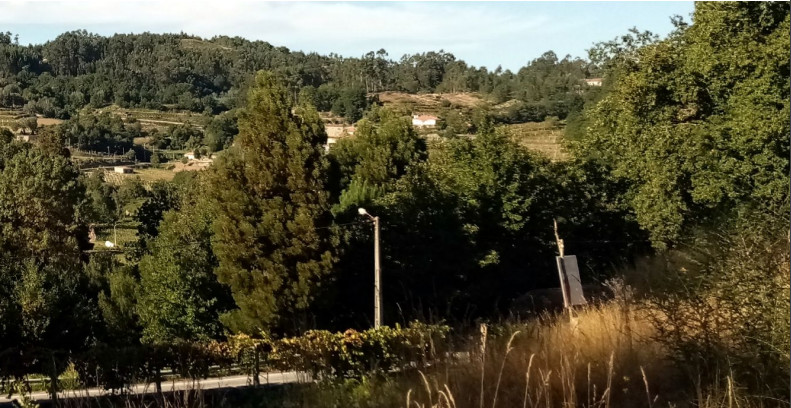 Perceel / Land in União das freguesias de Arcos de Valdevez (São Paio) e Giela, Arcos de Valdevez, Viana do Castelo