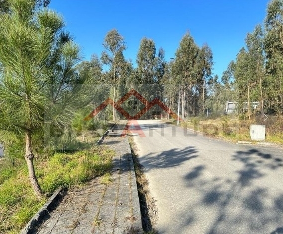 Plot / Land in União das freguesias de Carvalho e Basto (Santa Tecla), Celorico de Basto, Braga