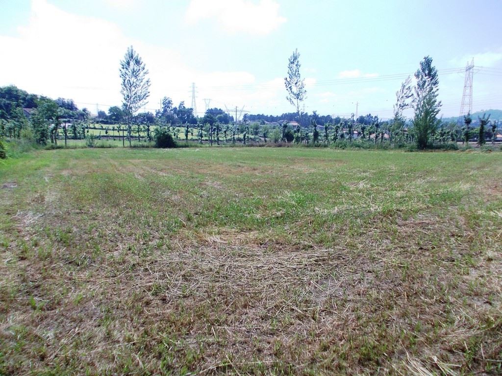 Plot / Land in Póvoa de Lanhoso, Braga