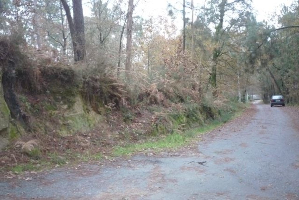 Plot / Land in Vila Verde, Braga