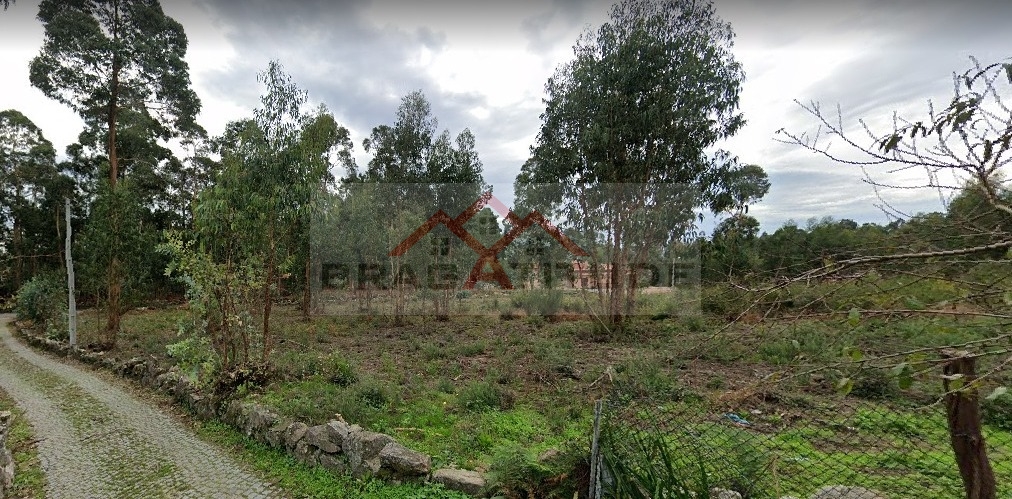 Plot / Land in Barcelos, Braga