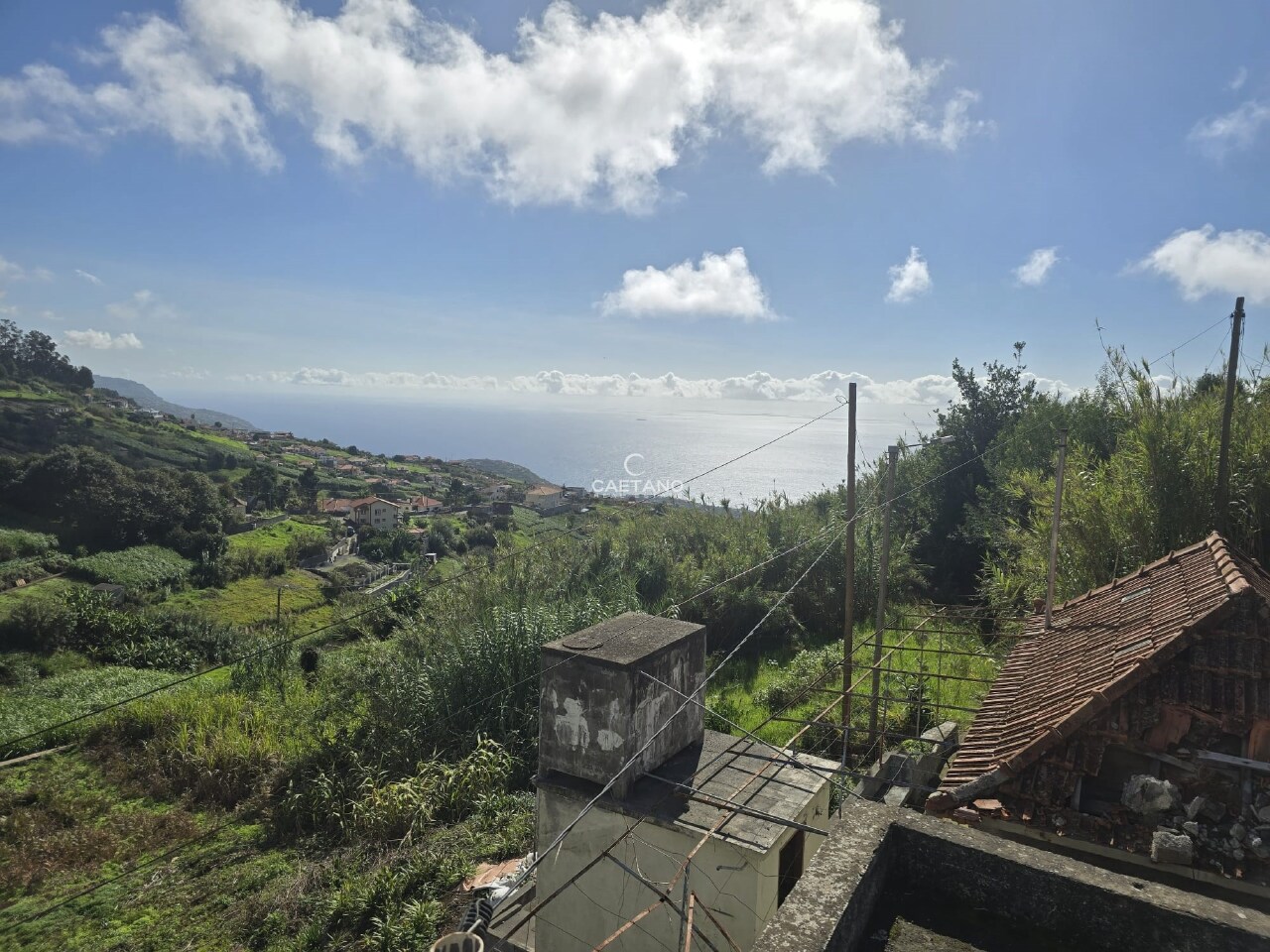 Plot / Land in Ponta do Sol, Madeira