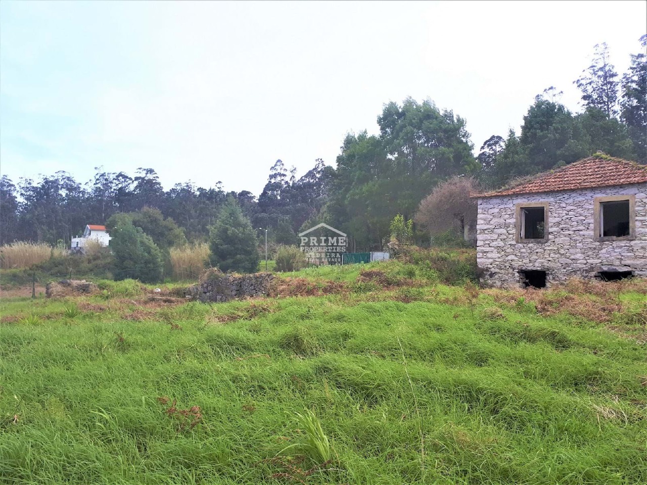 Perceel / Land in Porto Moniz, Madeira