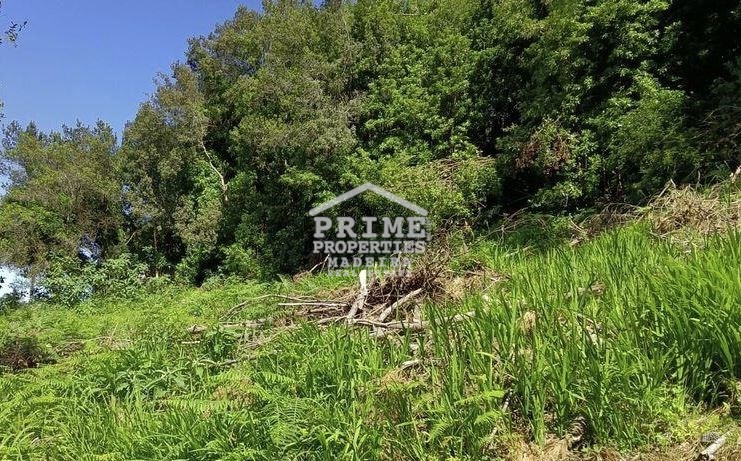 Perceel / Land in Monte, Funchal, Madeira