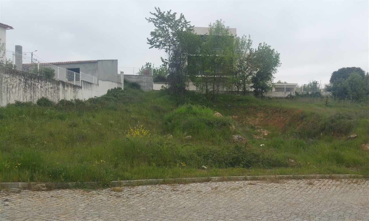 Perceel / Land in Bragança