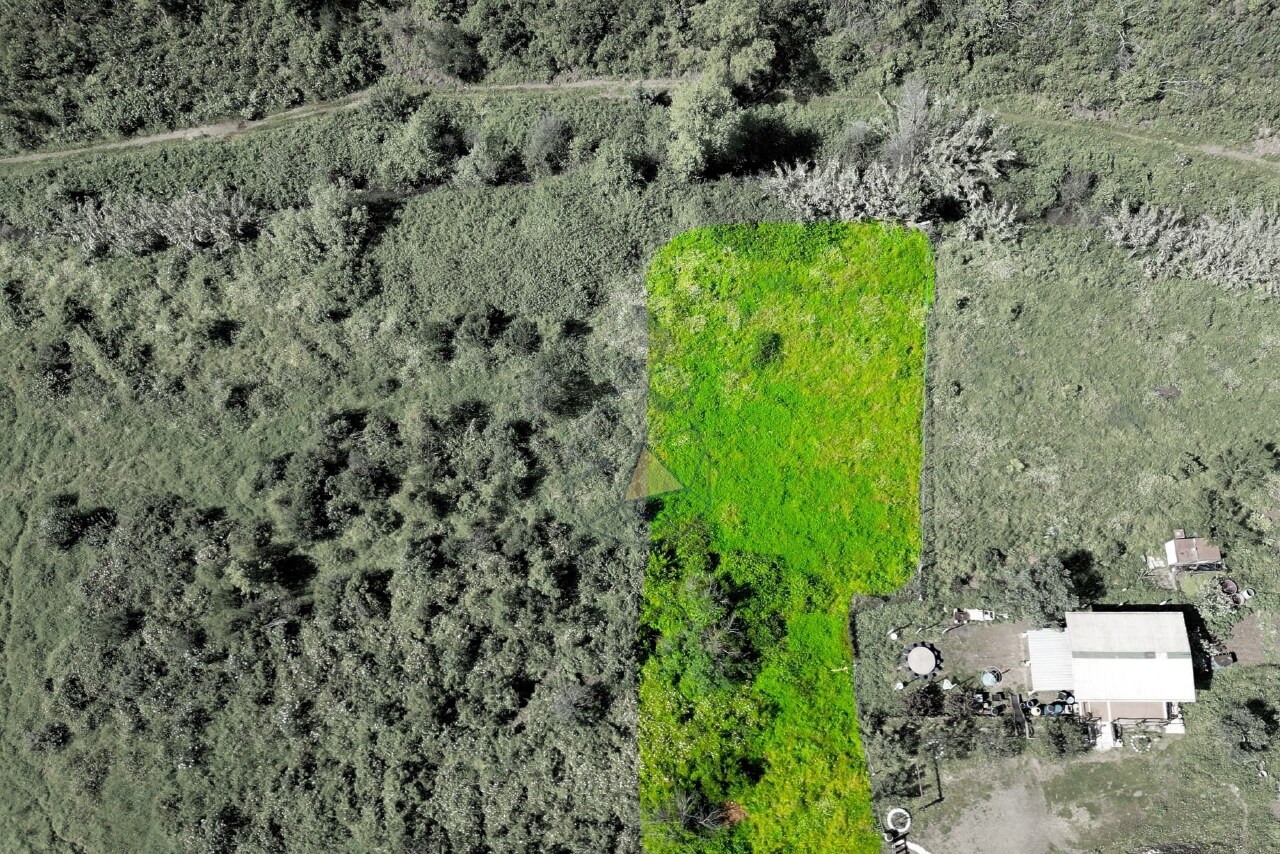 Plot / Land in Alferce, Monchique, Western Algarve