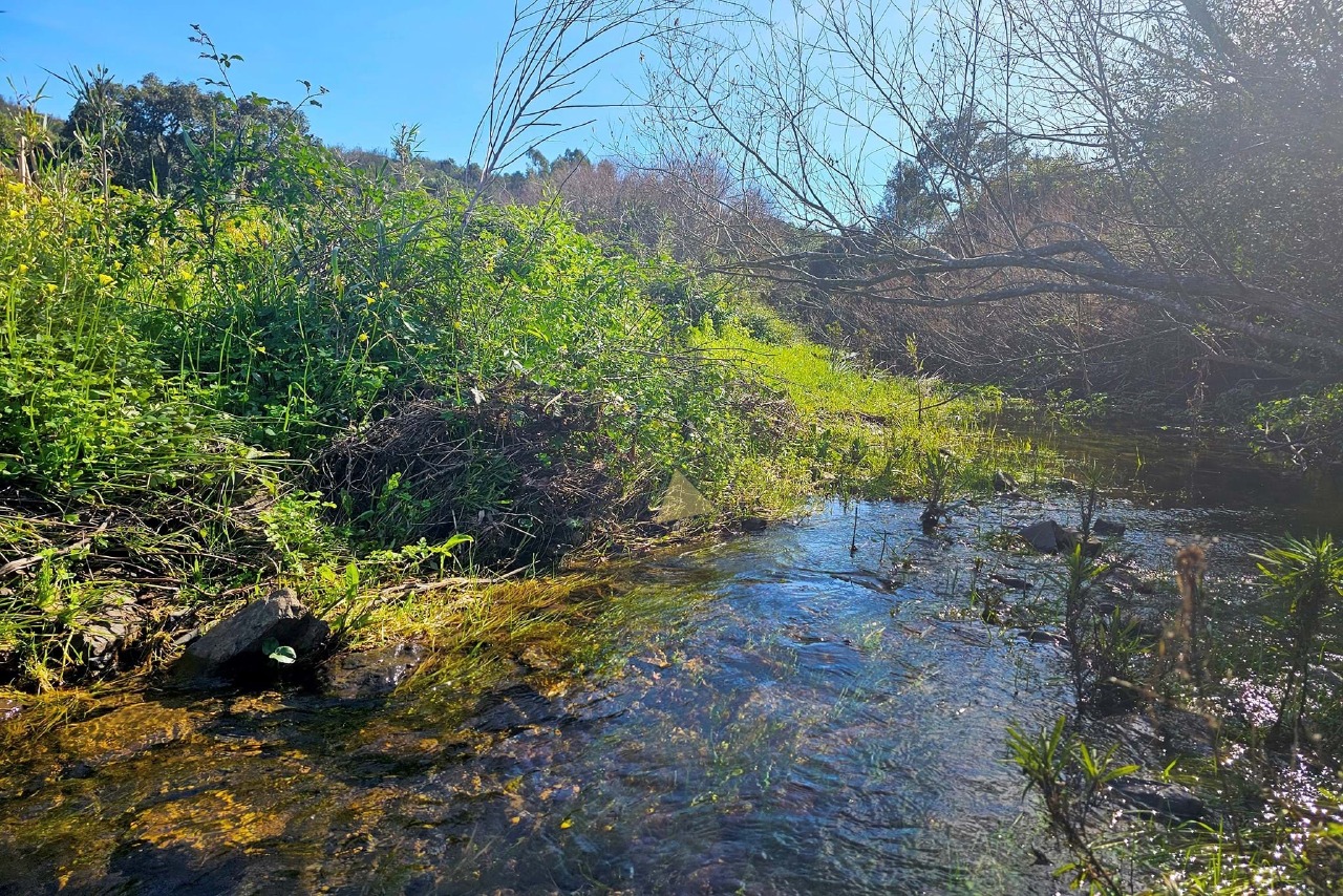 Perceel / Land in Marmelete, Monchique, Western Algarve