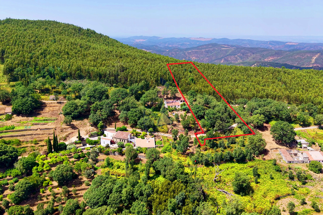 Plot / Land in Monchique, Western Algarve