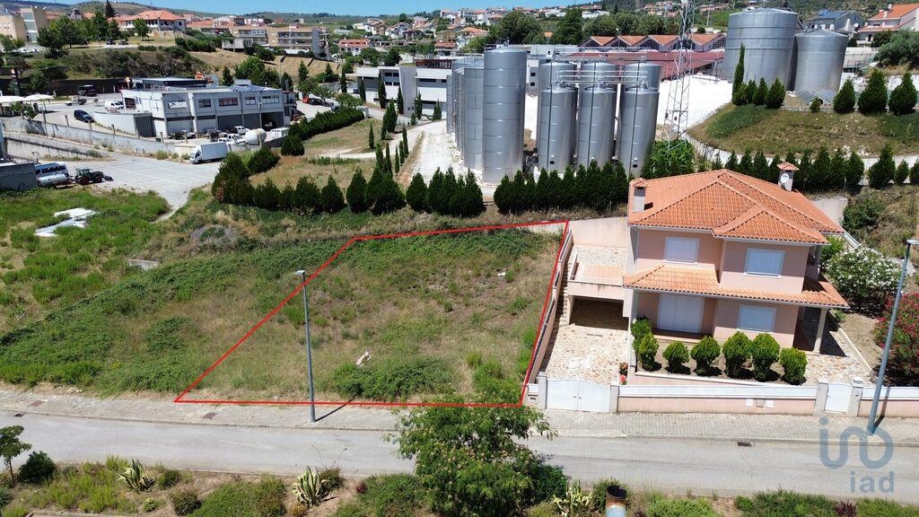 Plot / Land in Murça, Vila Real