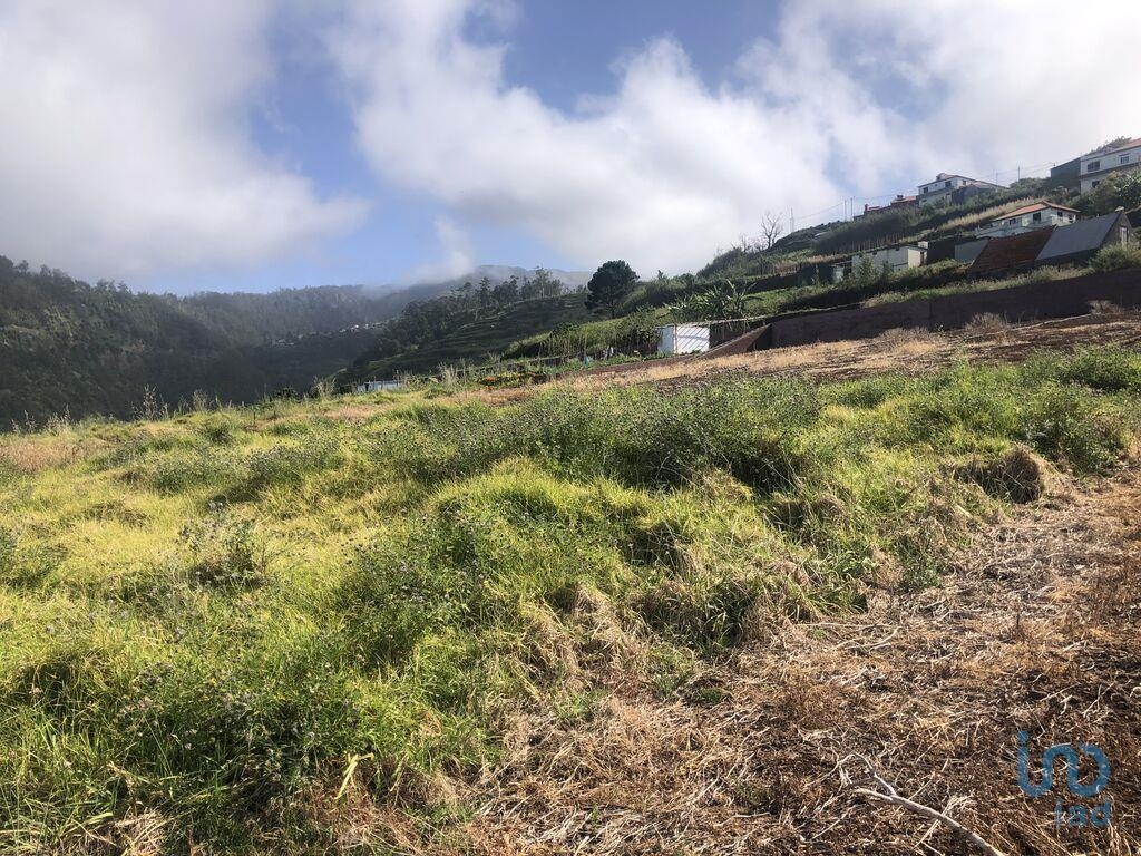 Perceel / Land in Ponta do Sol, Madeira