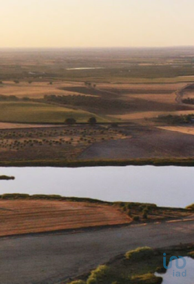 Plot / Land in Beja