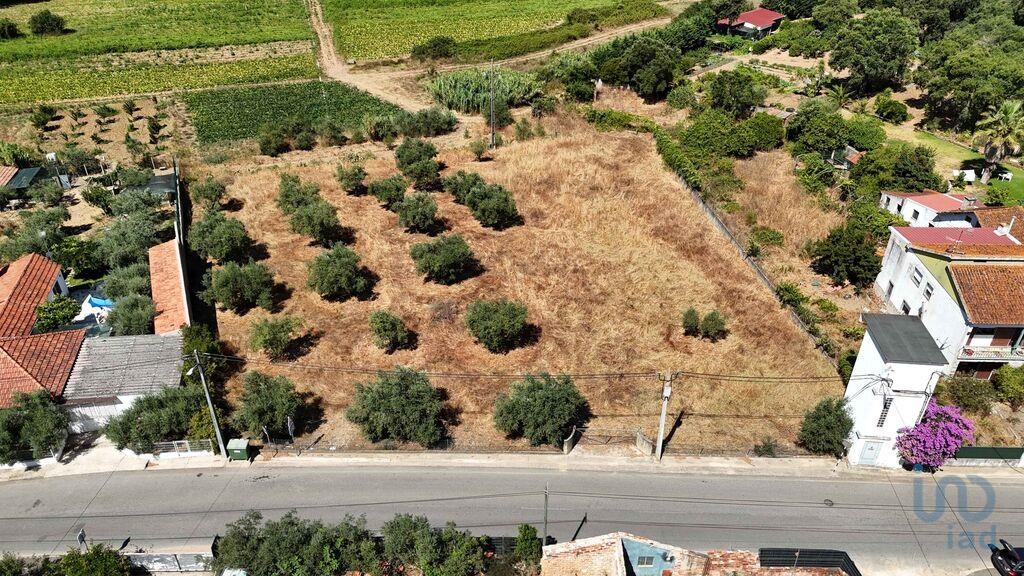 Plot / Land in Rio Maior, Santarém