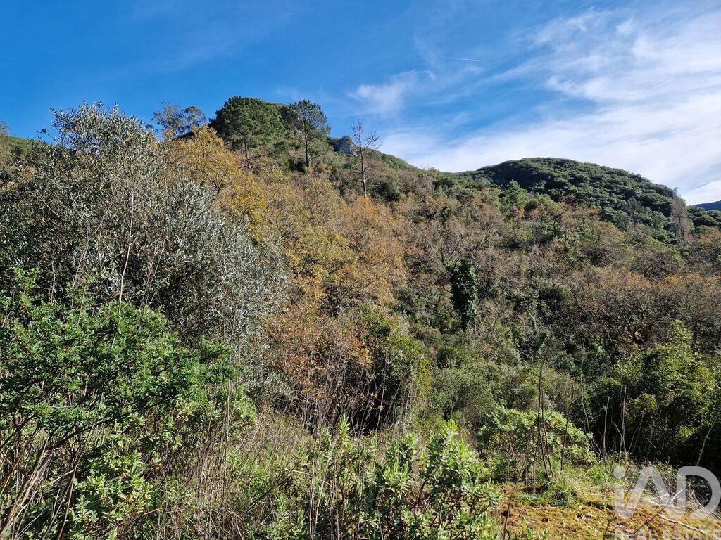 Villa in Porto de Mós, Leiria