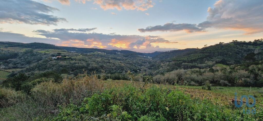 Plot / Land in Mafra, Lisboa