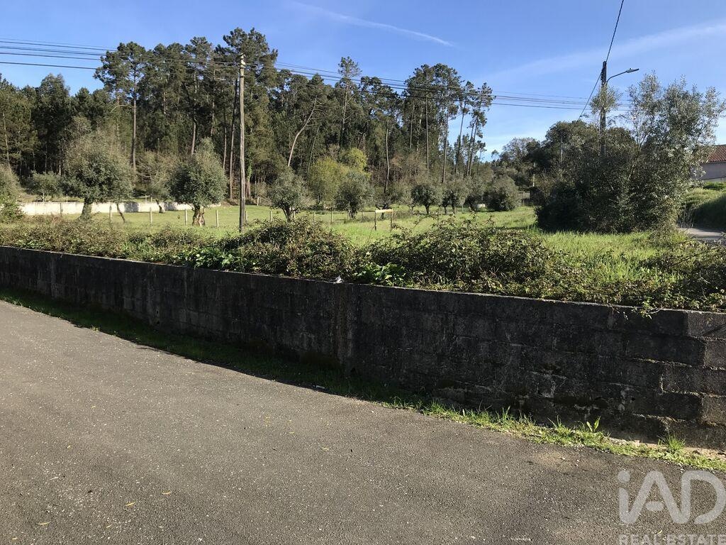 Plot / Land in Ansião, Leiria