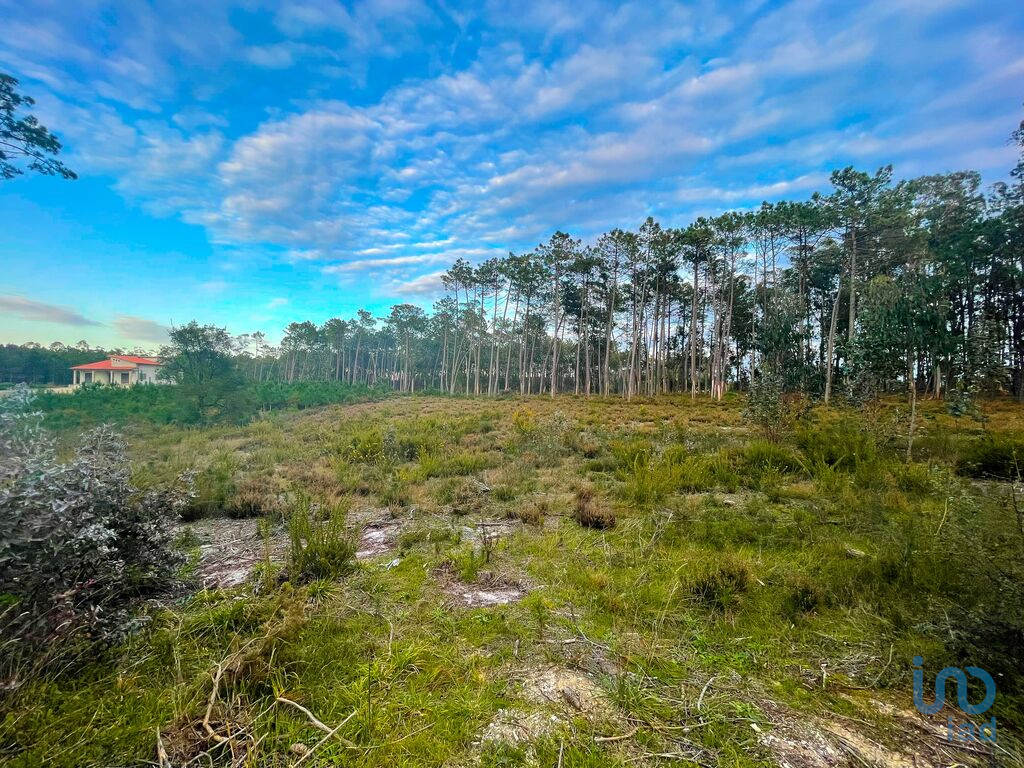 Plot / Land in Leiria