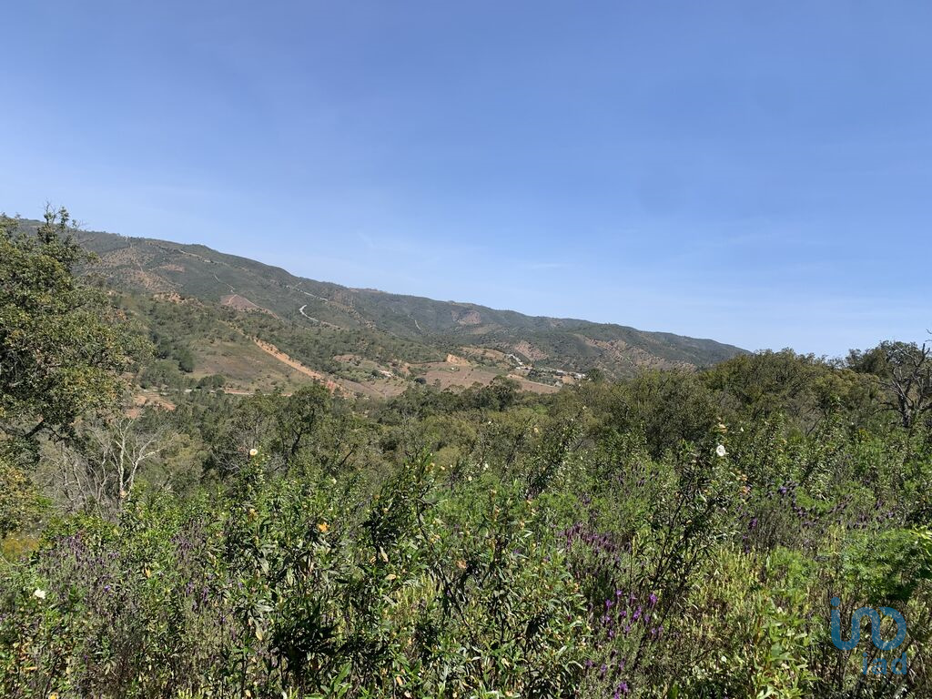 Plot / Land in Loulé, Western Algarve