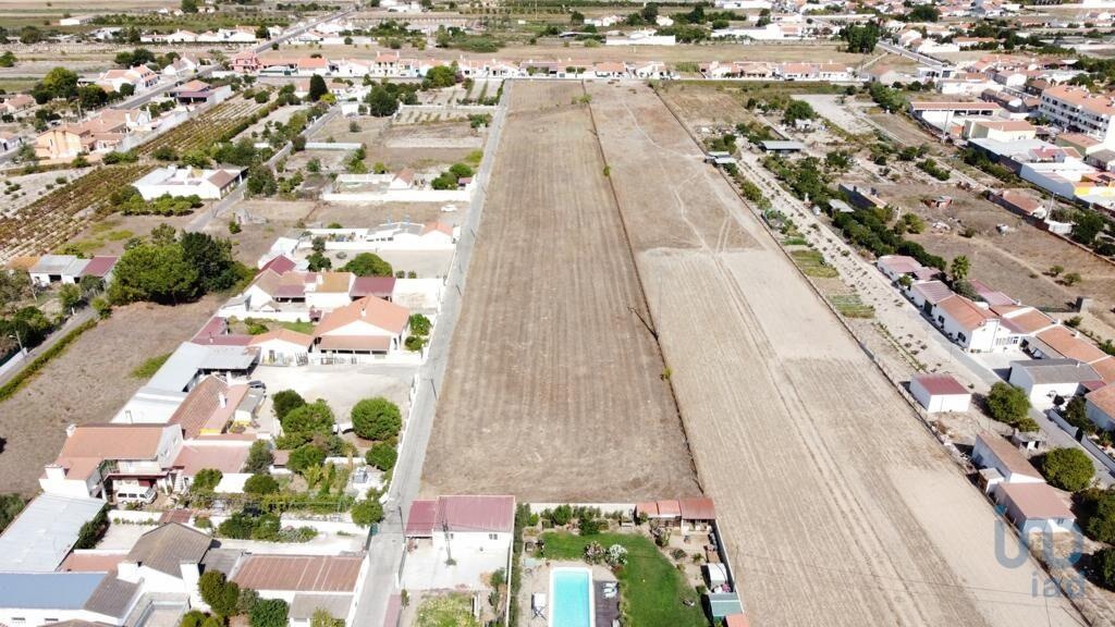 Plot / Land in Almeirim, Santarém