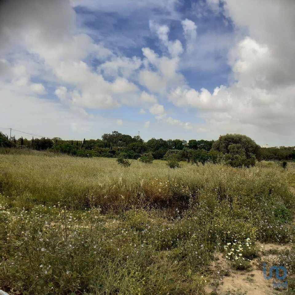 Perceel / Land in Tavira, Eastern Algarve