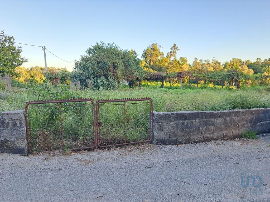 Plot / Land in Vila Verde, Braga