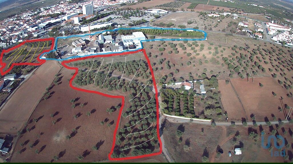 Plot / Land in Moura, Beja