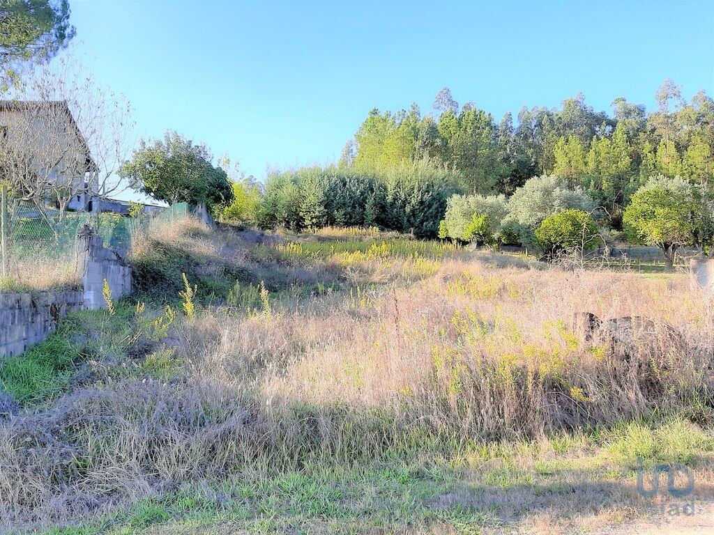 Plot / Land in Coimbra