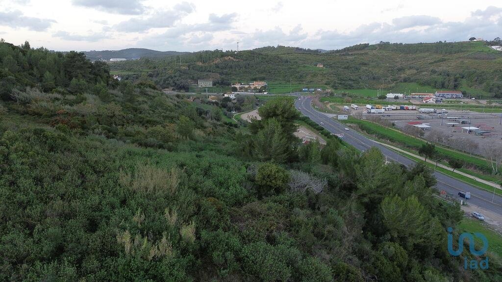 Plot / Land in Torres Vedras, Lisboa