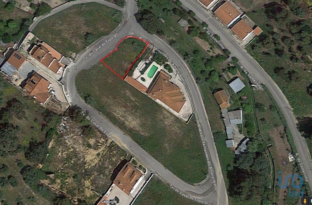 Plot / Land in Chamusca, Santarém
